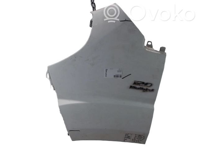 Fiat Ducato Guardabarro 