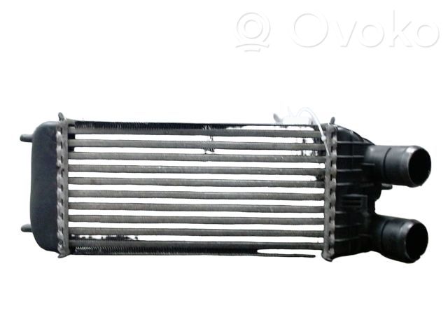 Interkūlerio radiatorius   384N8,30460,384N8,9685771480