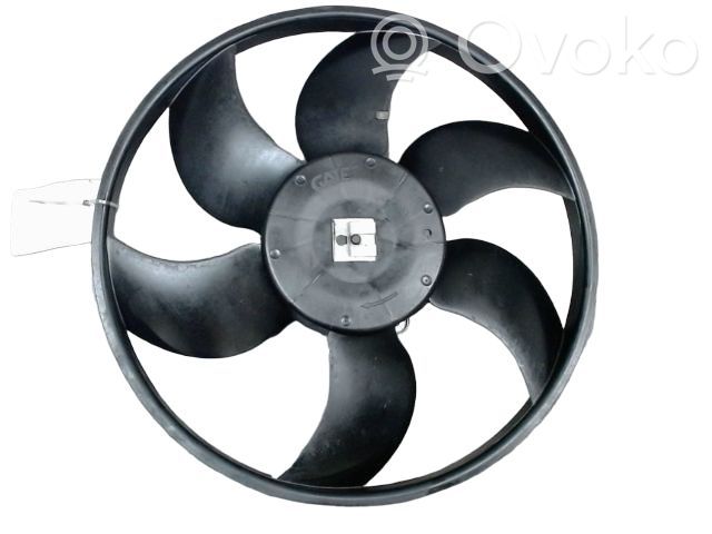 Elektrolüfter   214816674R,214816674R