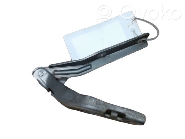 Peugeot 206+ Konepellin saranat 
