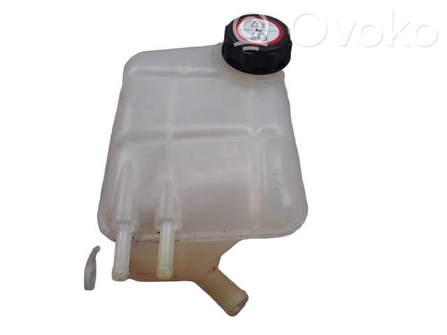 Ford Focus Serbatoio di compensazione del liquido refrigerante/vaschetta 
