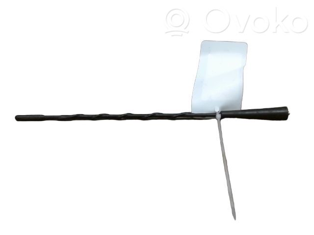 Renault Kangoo II Antenna autoradio 