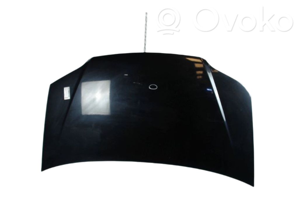 Fiat Idea Motorhaube 