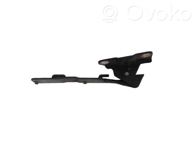 Citroen C5 Cerniere del vano motore/cofano 