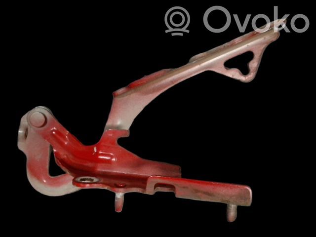 Citroen C2 Cerniere del vano motore/cofano