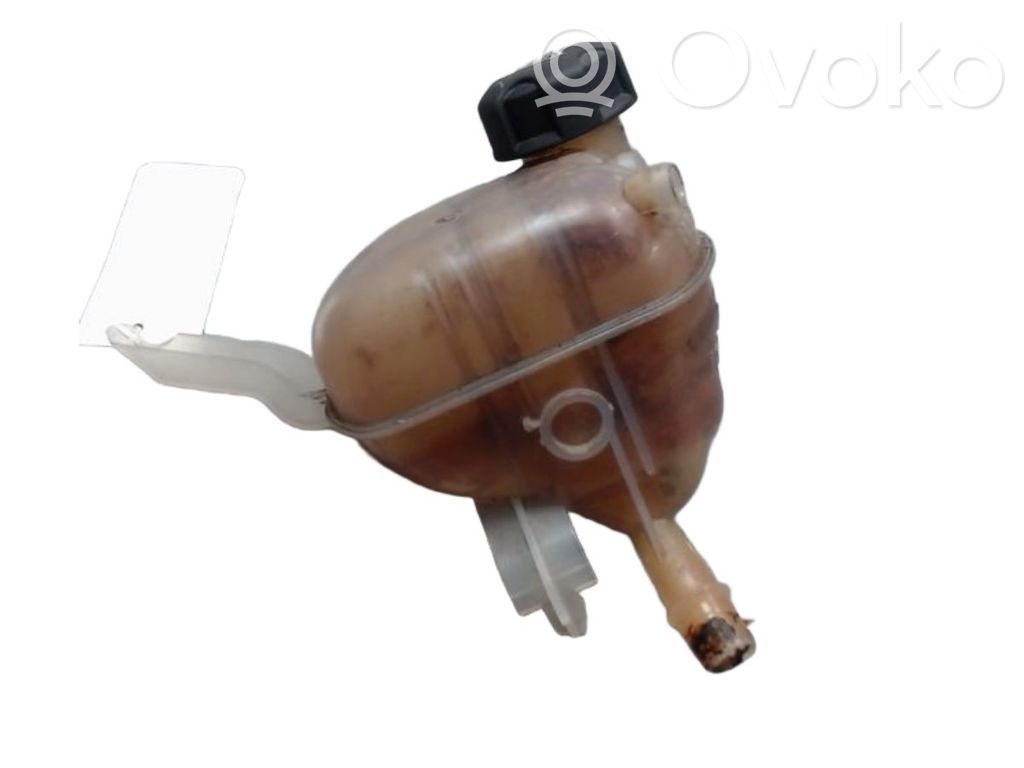 Citroen C5 Vas expansiune/rezervor lichid de răcire 
