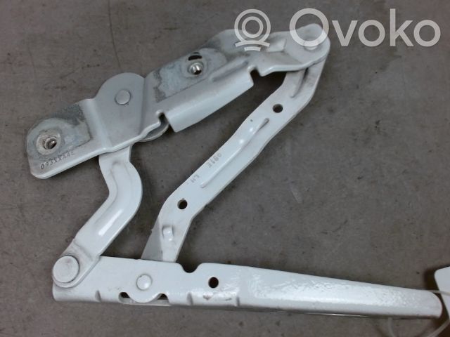 Scharnier Motorhaube   2005190,16801A0LH,2005190