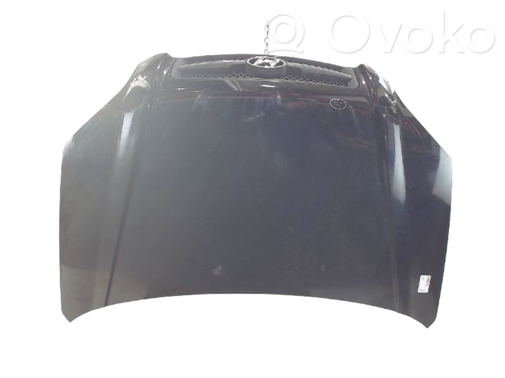 Hyundai Tucson JM Motorhaube 