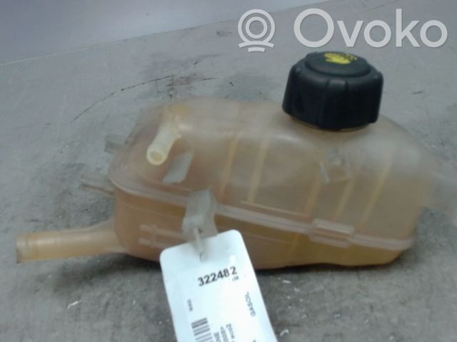 Renault Megane III Coolant expansion tank/reservoir 