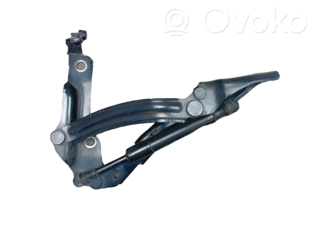 Volkswagen New Beetle Tailgate/trunk/boot hinge 