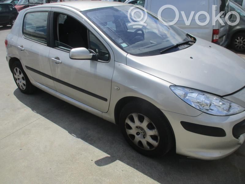 Peugeot 307 Sparnas 