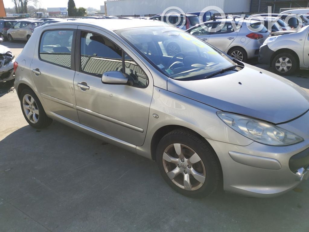 Peugeot 307 Sparnas 