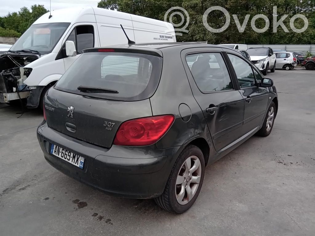 Peugeot 307 Third/center stoplight 