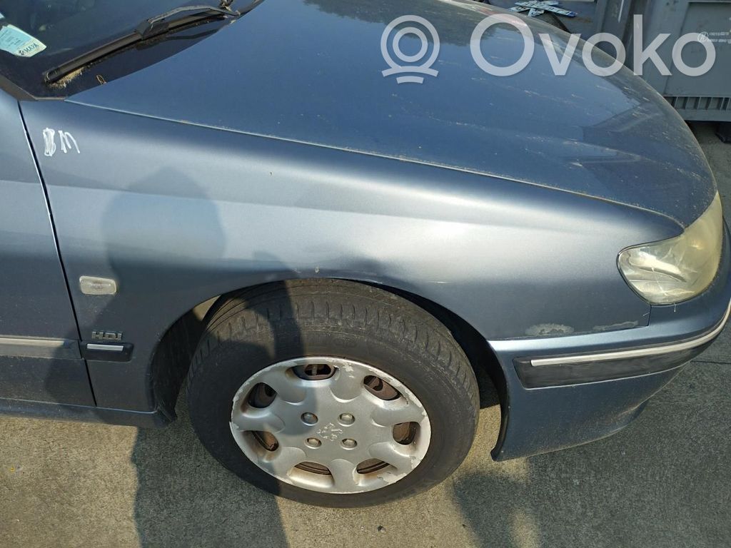 Peugeot 406 Guardabarro 