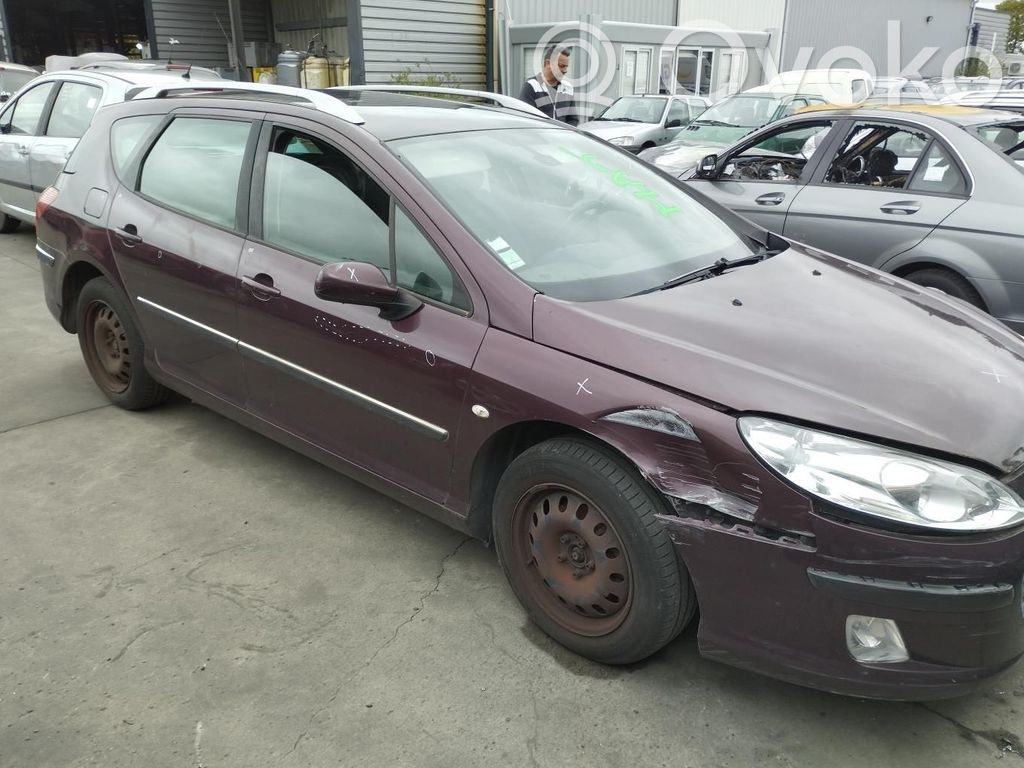 Peugeot 407 Durvis 