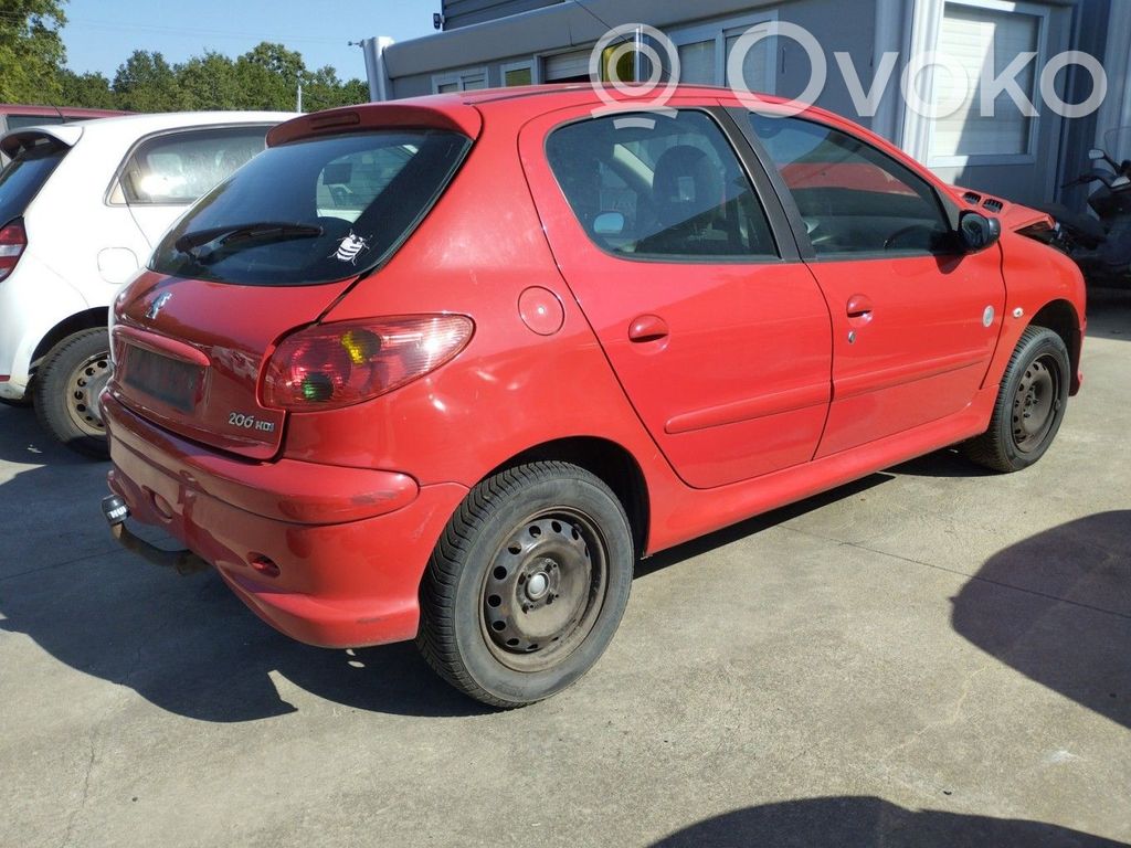 Peugeot 206 Stabdžių būgnas (galinis) 