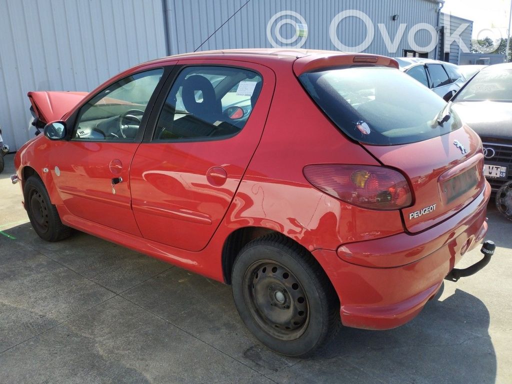 Peugeot 206 Stabdžių būgnas (galinis) 