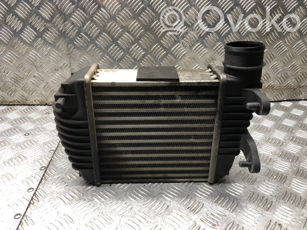 Audi A6 S6 C6 4F Interkūlerio radiatorius 