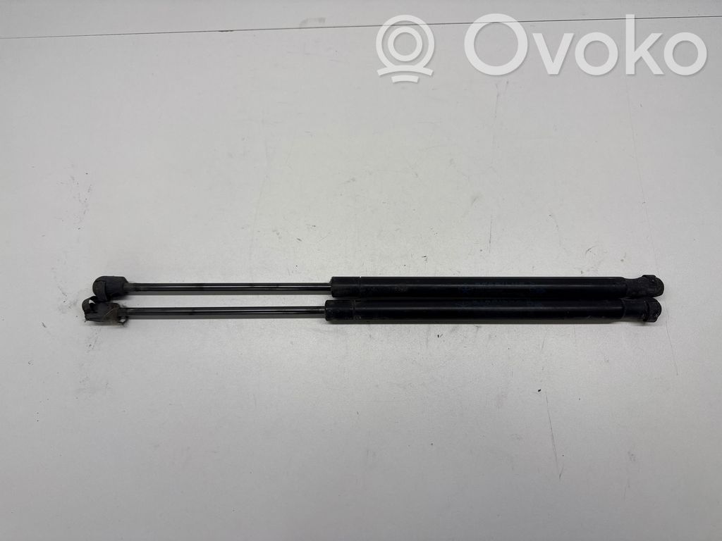 Dodge Caliber Tailgate/trunk strut/damper 