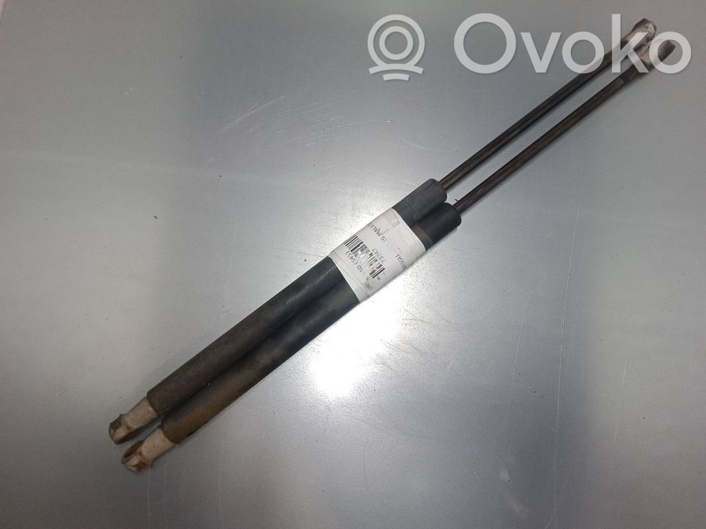 Tailgate/trunk strut/damper