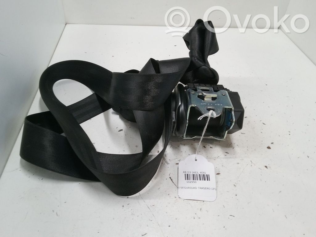 Cinturón trasero   601783000