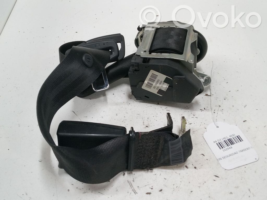 Cinturón trasero   601782900
