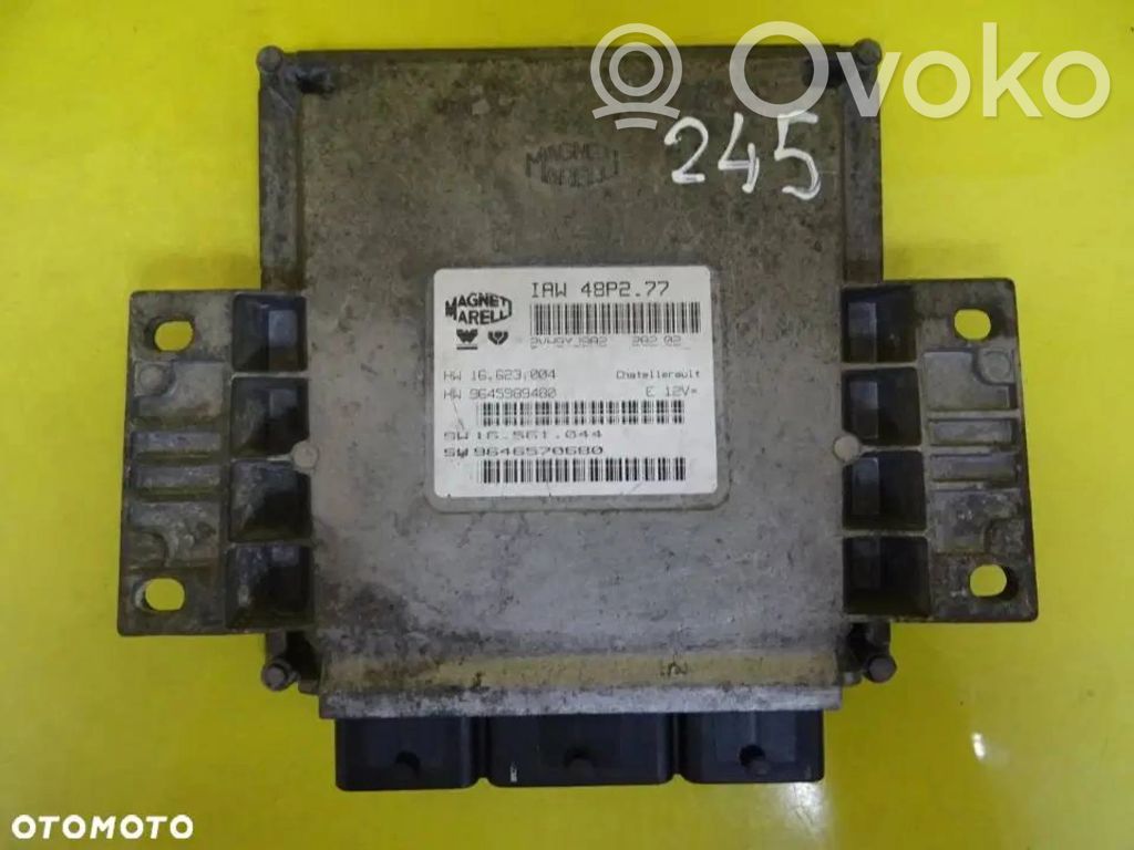 Engine control unit/module   IAW48P277
