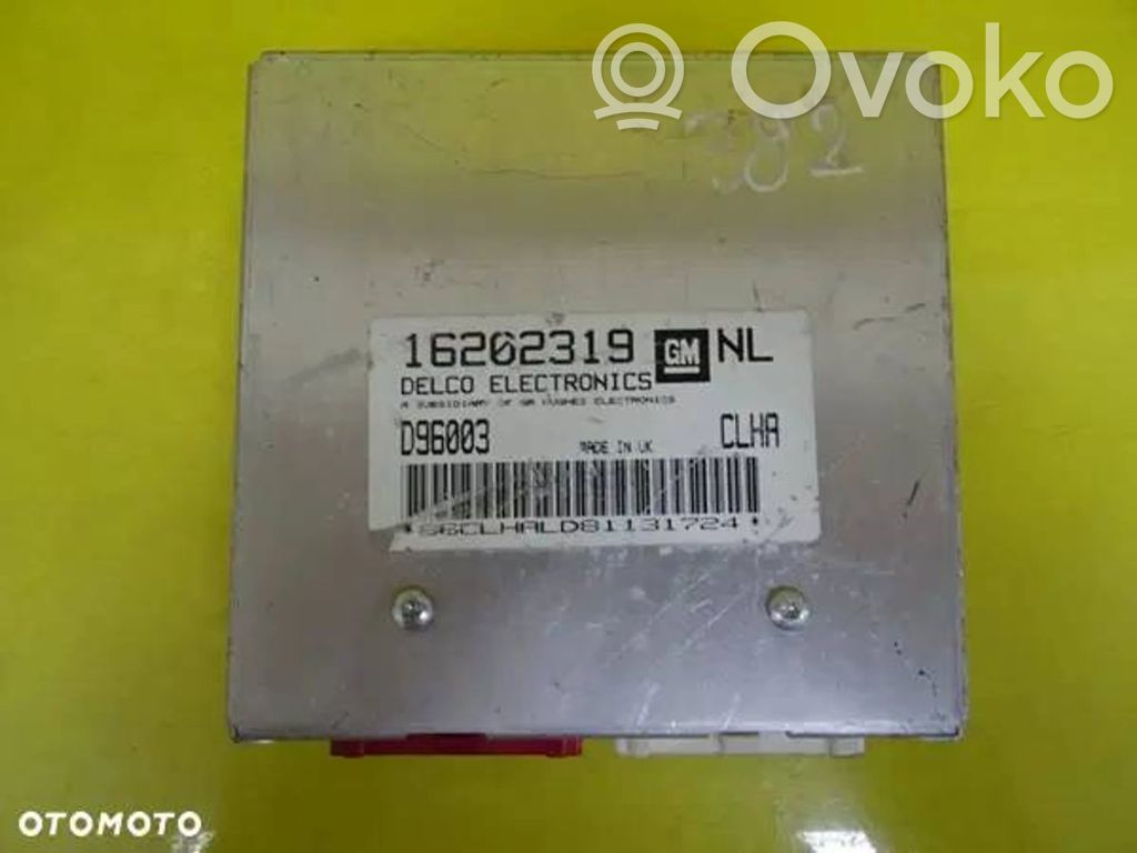 Engine control unit/module   16202319,096003