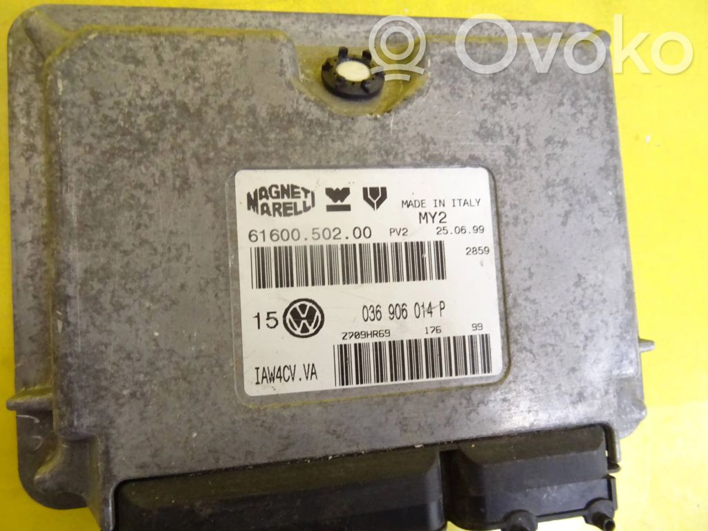 Engine control unit/module   036906014P,6160050200