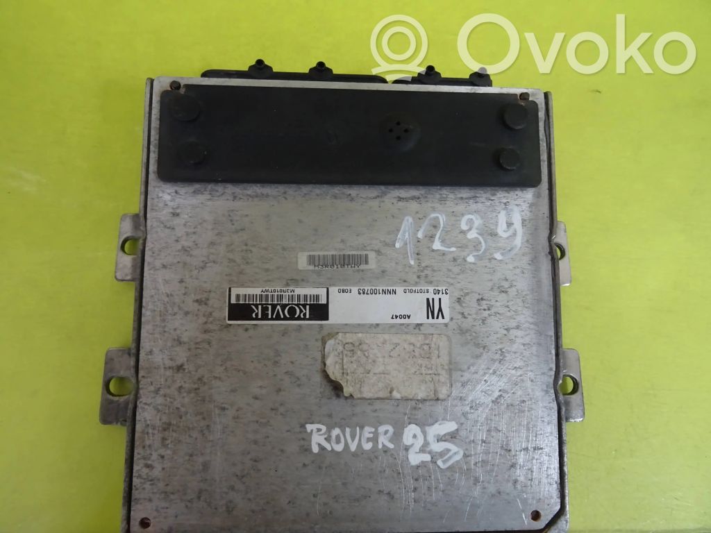 Rover 25 Engine control unit/module 
