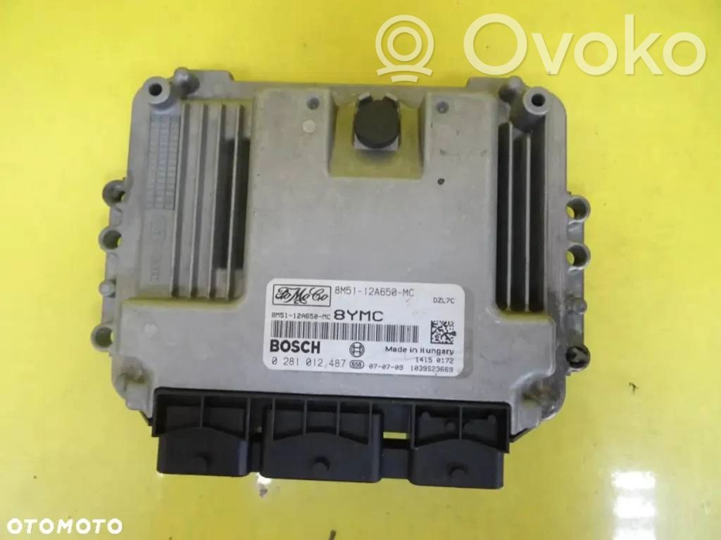 Ford Focus Engine control unit/module 