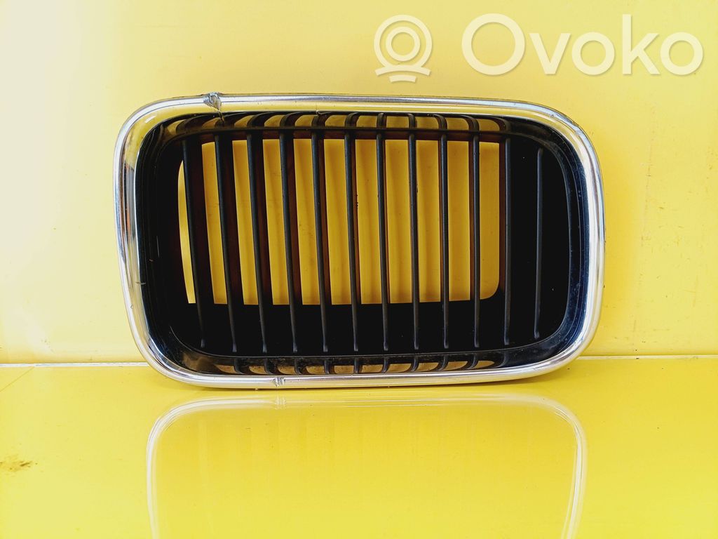 Front grill   51138151548