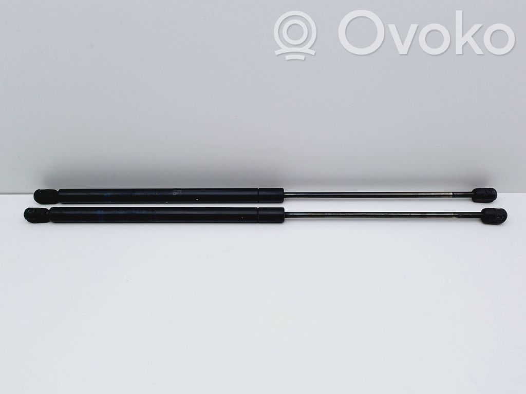 Ford Fiesta Tailgate/trunk strut/damper 