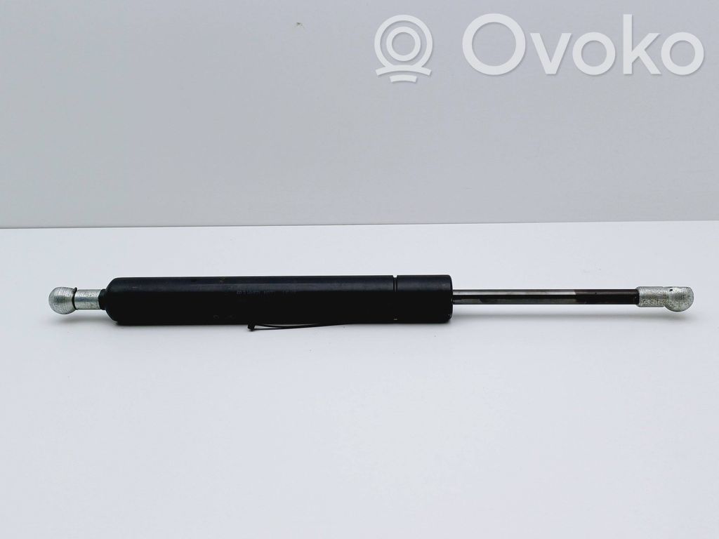 Tailgate/trunk strut/damper   4699260
