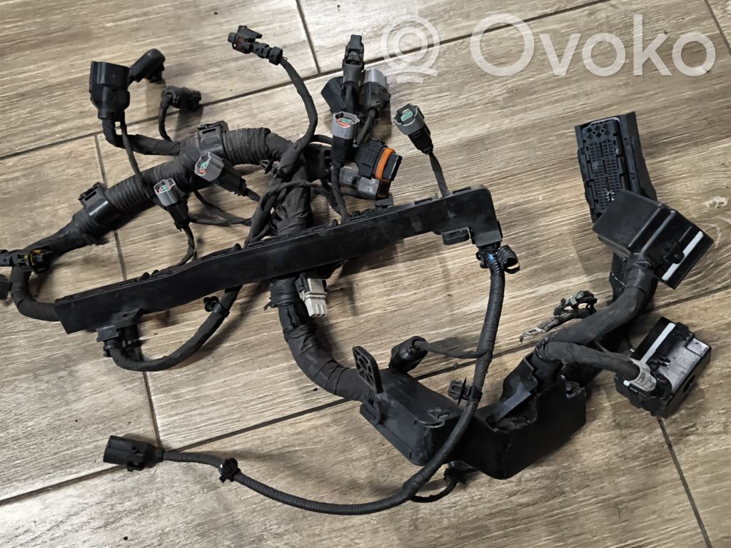 KIA Ceed Engine installation wiring loom 