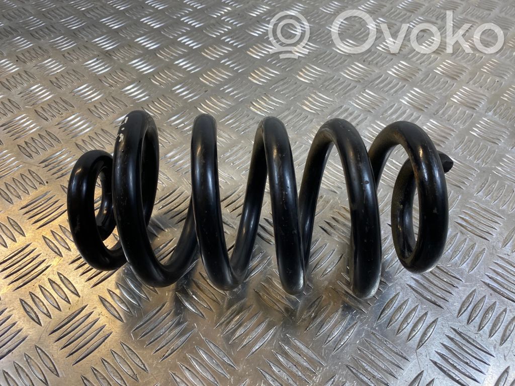 Rear coil spring