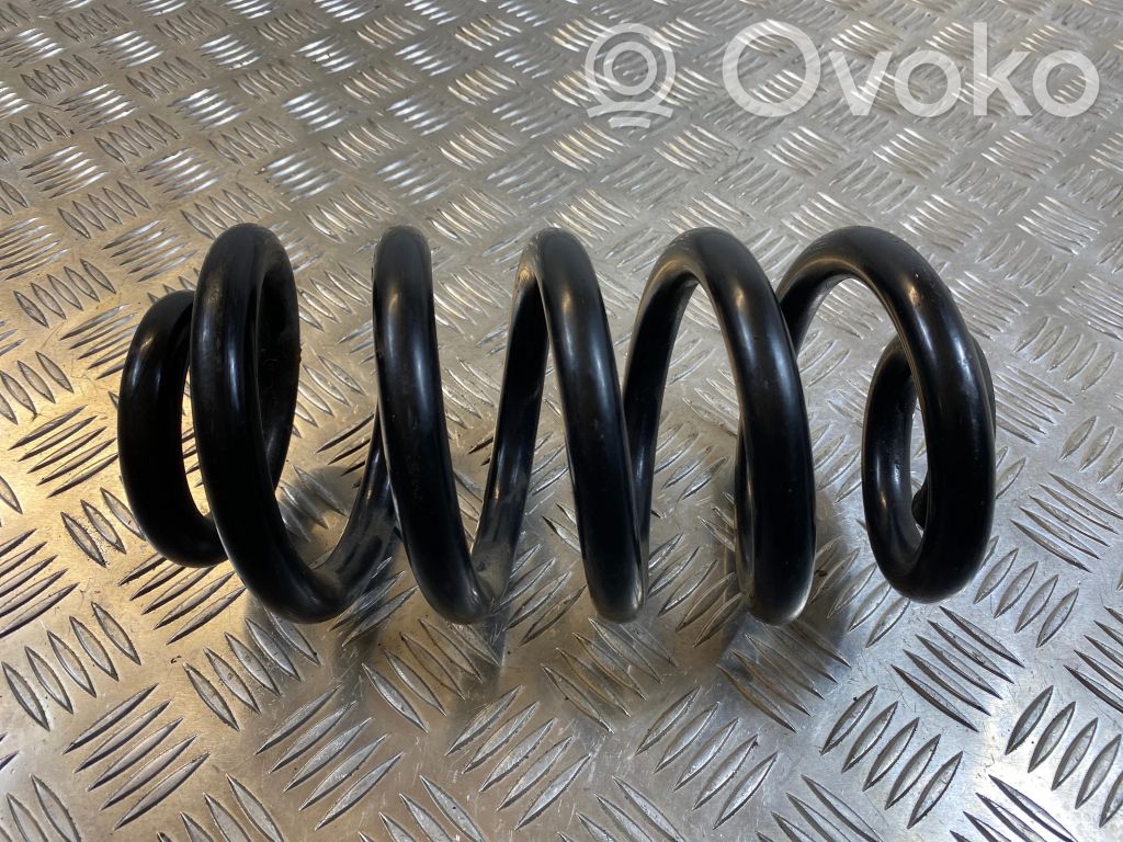 Rear coil spring