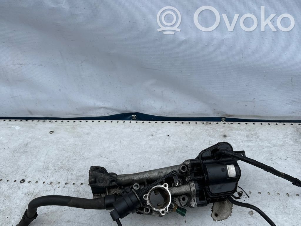 Válvula EGR   55577443