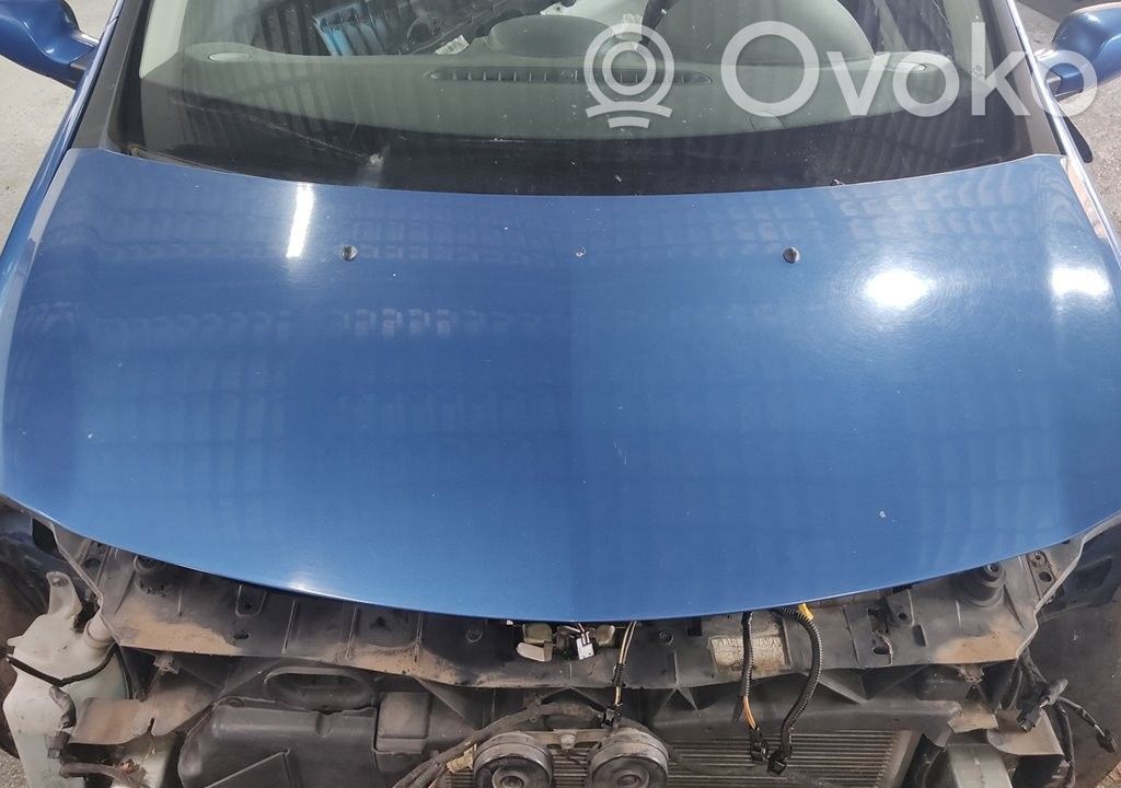 Motorhaube