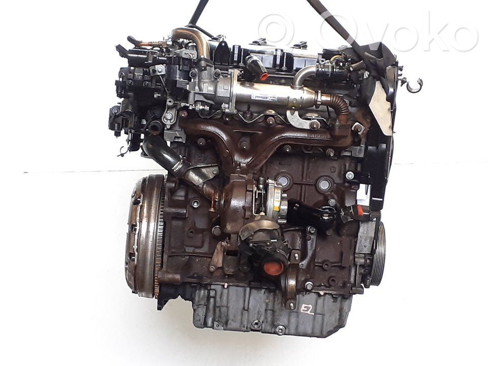 Motor   QXBA,D4204T