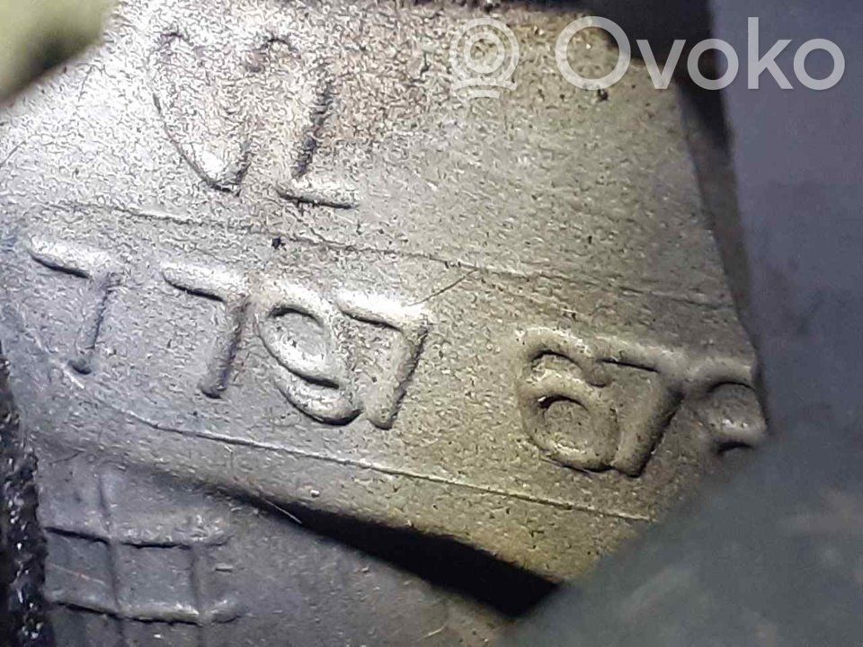 Galvutė   7797678