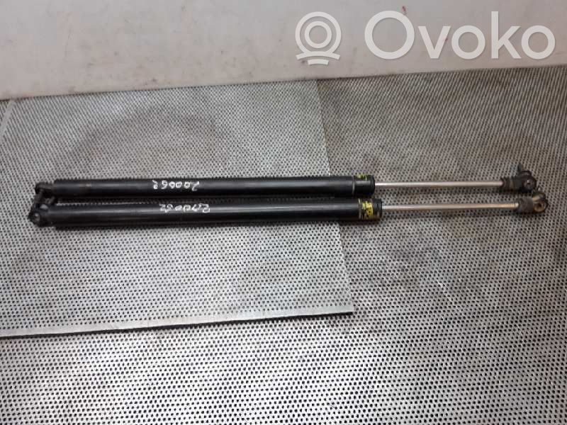 Tailgate/trunk strut/damper