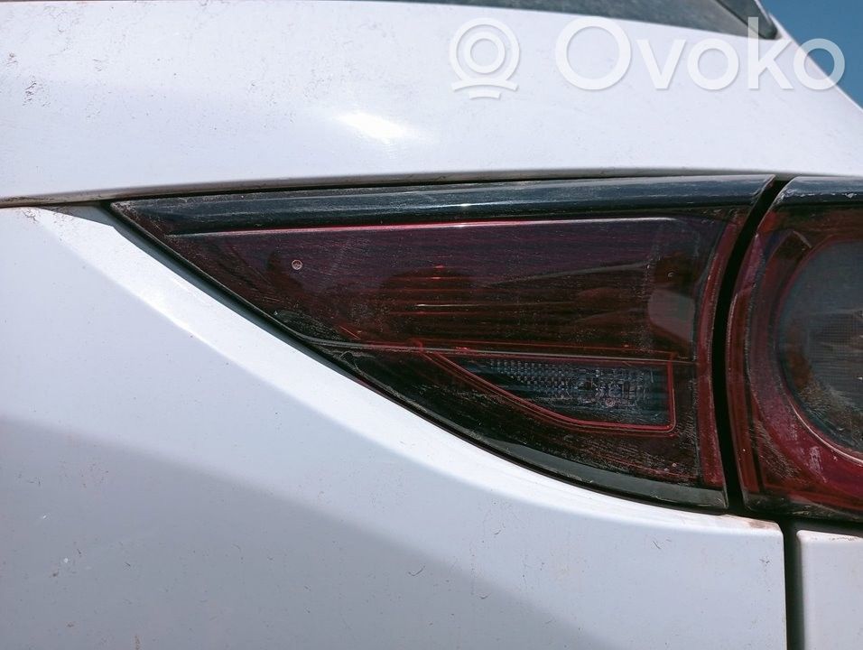 Tailgate rear/tail lights