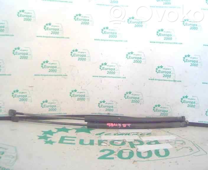 Tailgate/trunk strut/damper