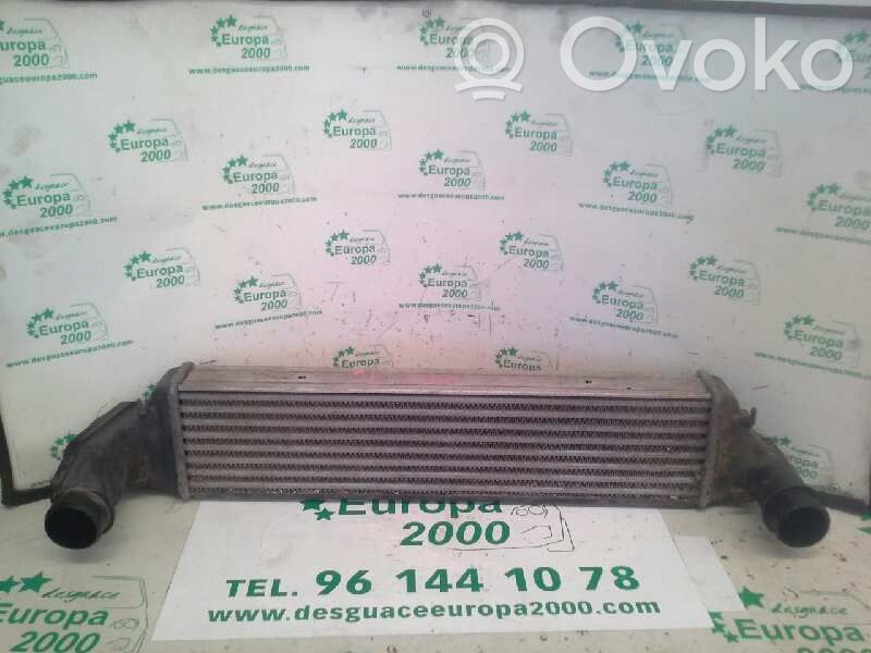 Intercooler radiator