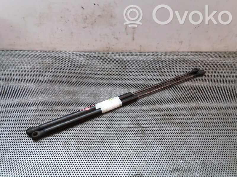 Tailgate/trunk strut/damper