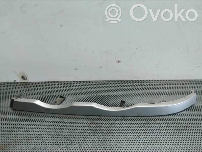 Under headlight/headlamp trim
