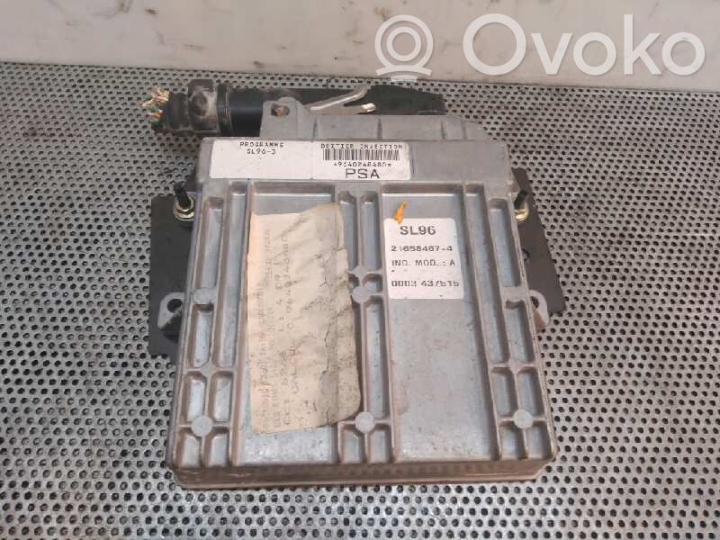 Peugeot 406 Engine control unit/module 