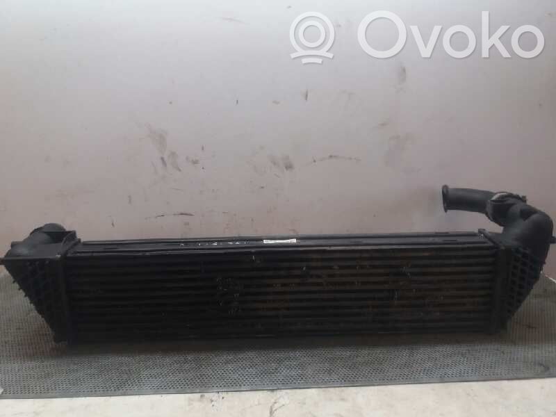 Radiatore intercooler   200292773