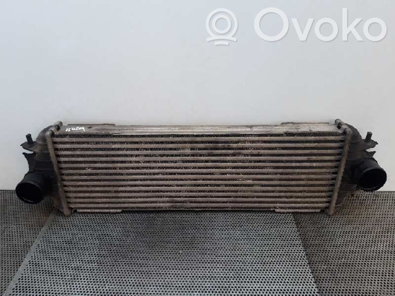 Intercooler radiator   7700312903
